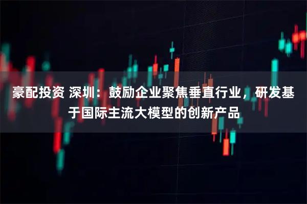 豪配投资 深圳：鼓励企业聚焦垂直行业，研发基于国际主流大模型的创新产品